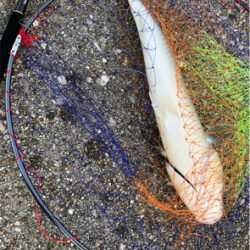 4目ライトショアジギング