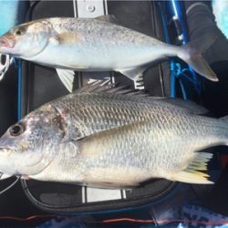 カヤックフィッシングで五目達成!