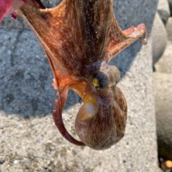 盆休み、1日目。