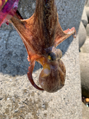 盆休み、1日目。