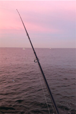 早朝ツバッシング