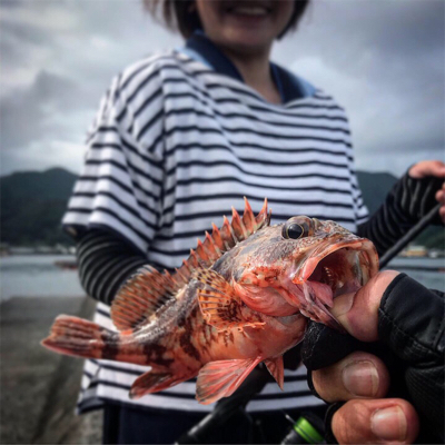 ショアジギング