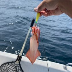 マイボートでデイイカメタル