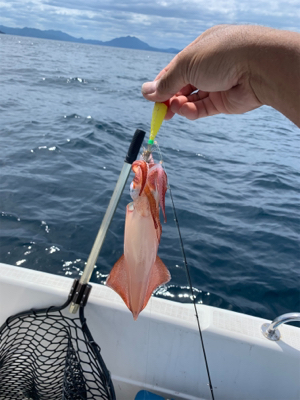 マイボートでデイイカメタル