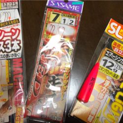 ちょい投げでキス