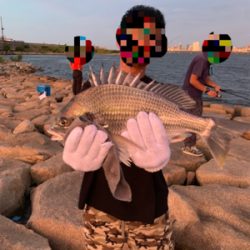 夕方のぶっ込み釣り