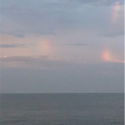 毎度毎度ツバッシング