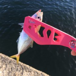 あなたは誰?メッキさん?