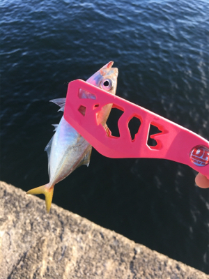 あなたは誰?メッキさん?