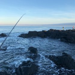 帰省前に寄り道