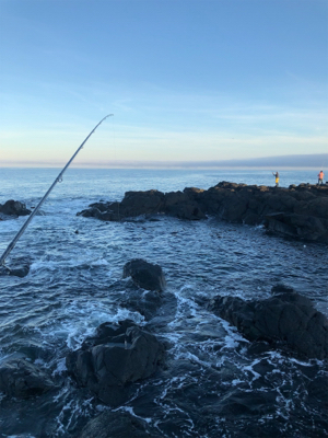 帰省前に寄り道