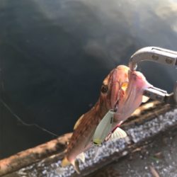 フラットゲームは…