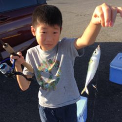 子供でもサビキ楽ちん。暑いけど…