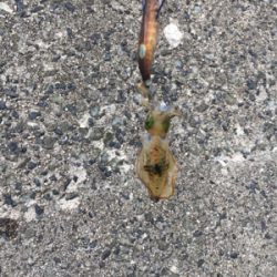 丹後の漁港ランガン❗️