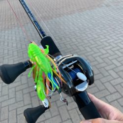 朝まづめのオクトパッシング