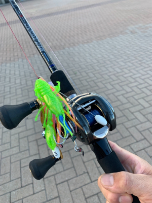 朝まづめのオクトパッシング