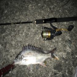 根掛かりばっかり