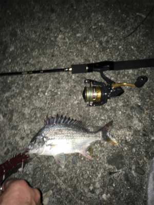 根掛かりばっかり