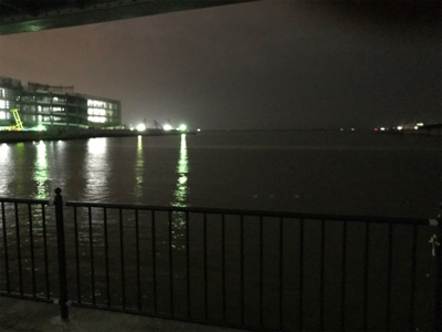 ３８センチと３６センチでした