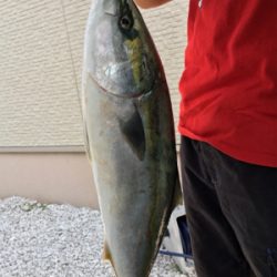 親子釣り堀体験