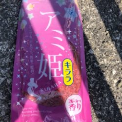 ファミリーフィッシング