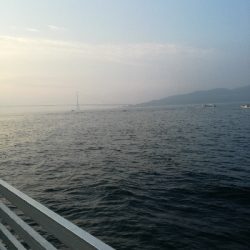 持って帰りましょうか