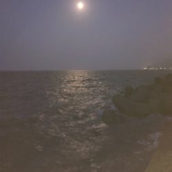 リベンジショアジギ…のはずが?