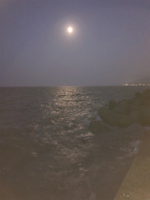 リベンジショアジギ…のはずが?