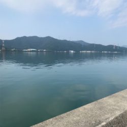 キスならず貧果