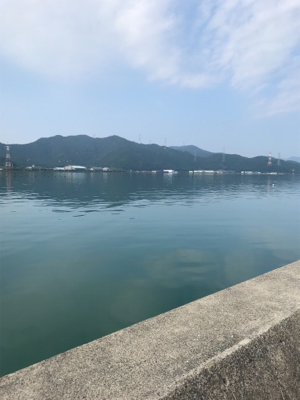 キスならず貧果