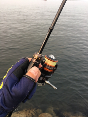 ハマチまであと少し