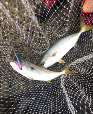 どうにかゲット！