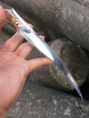 台風後のマリンピア