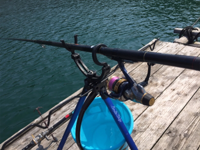 つりぴぃぽぉ釣果