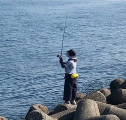 台風一過後のカマス
