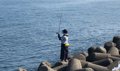 台風一過後のカマス