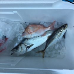 ナイトクルージング&カヤックフィッシング