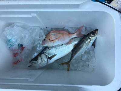 ナイトクルージング&カヤックフィッシング