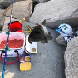 波止フカセ釣り