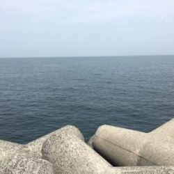 ツバスシブい？