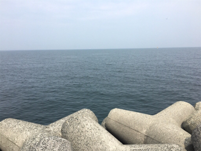 ツバスシブい？