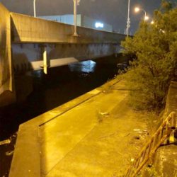 名古屋港シーバスを求めて！いや、、ボラ天国！？