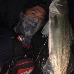 リバーシーバス