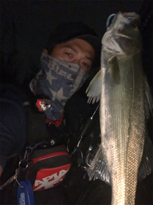 リバーシーバス