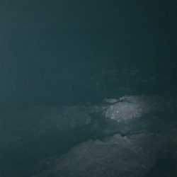 やっぱりガッシー