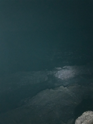 やっぱりガッシー