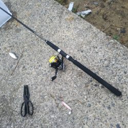 かもめ大橋→夢舞大橋へ