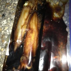 ケンサキ釣れたけど…σ(^_^;)