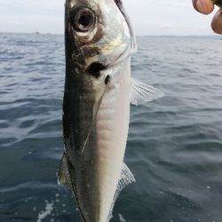 キャスティング タイラバ