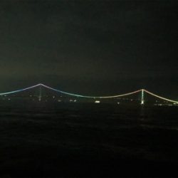 ツバスのはずが